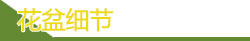 花盆細(xì)節(jié)